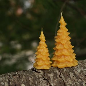 Seasonal Evergreen Candle