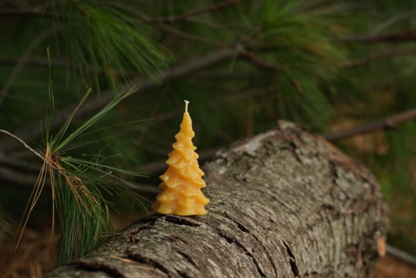 Seasonal Evergreen Candle - Image 4