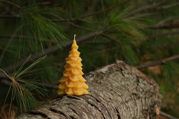 Seasonal Evergreen Candle - Image 3