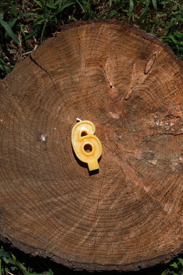 Beeswax Number Candles - Image 7