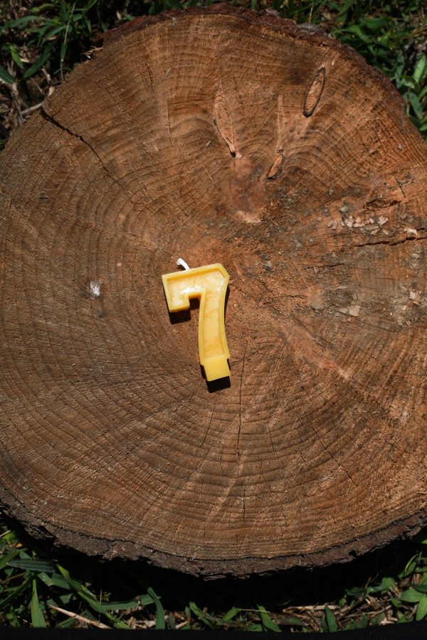 Beeswax Number Candles - Image 6