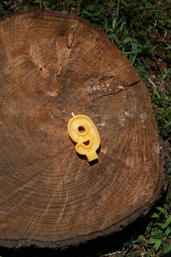 Beeswax Number Candles - Image 4