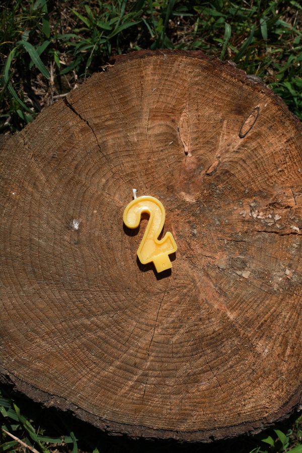 Beeswax Number Candles - Image 11