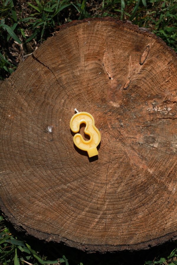 Beeswax Number Candles - Image 10