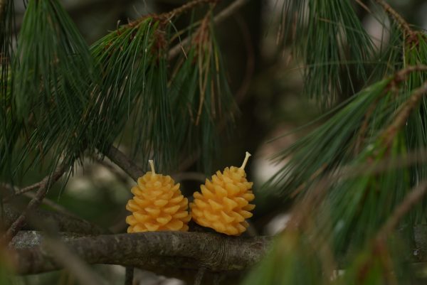Seasonal Pinecone Candle - Image 2