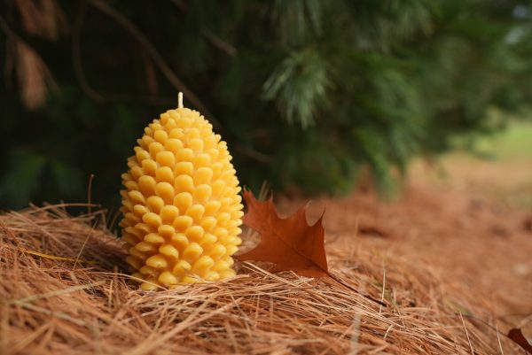 Seasonal Pinecone Candle - Image 5