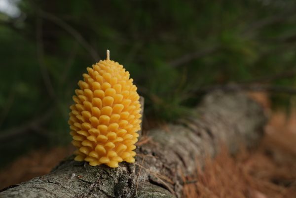 Seasonal Pinecone Candle - Image 4