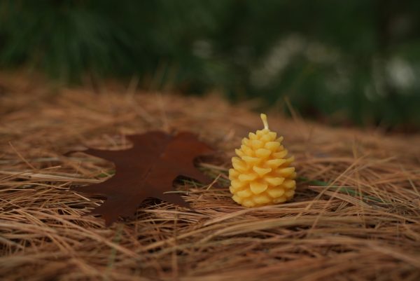 Seasonal Pinecone Candle - Image 3