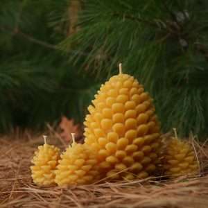 Seasonal Pinecone Candle