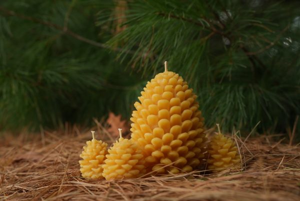 Seasonal Pinecone Candle