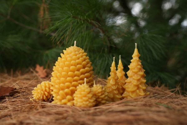 Seasonal Evergreen Candle - Image 2