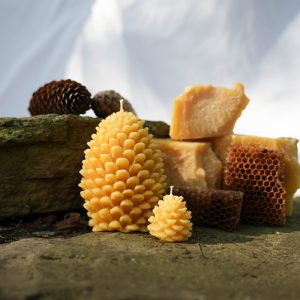 Seasonal Pinecone Candle