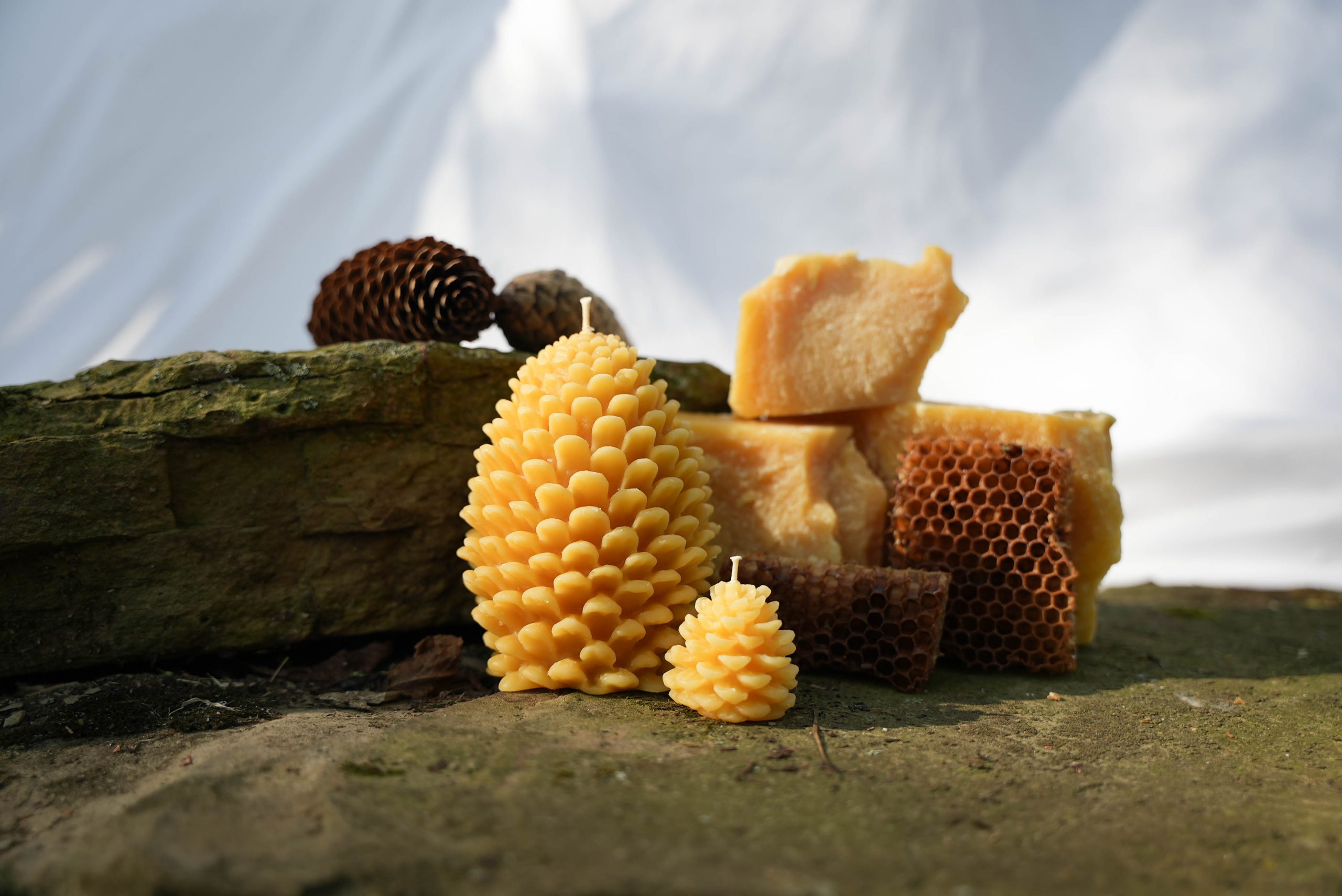 Seasonal Pinecone Candle