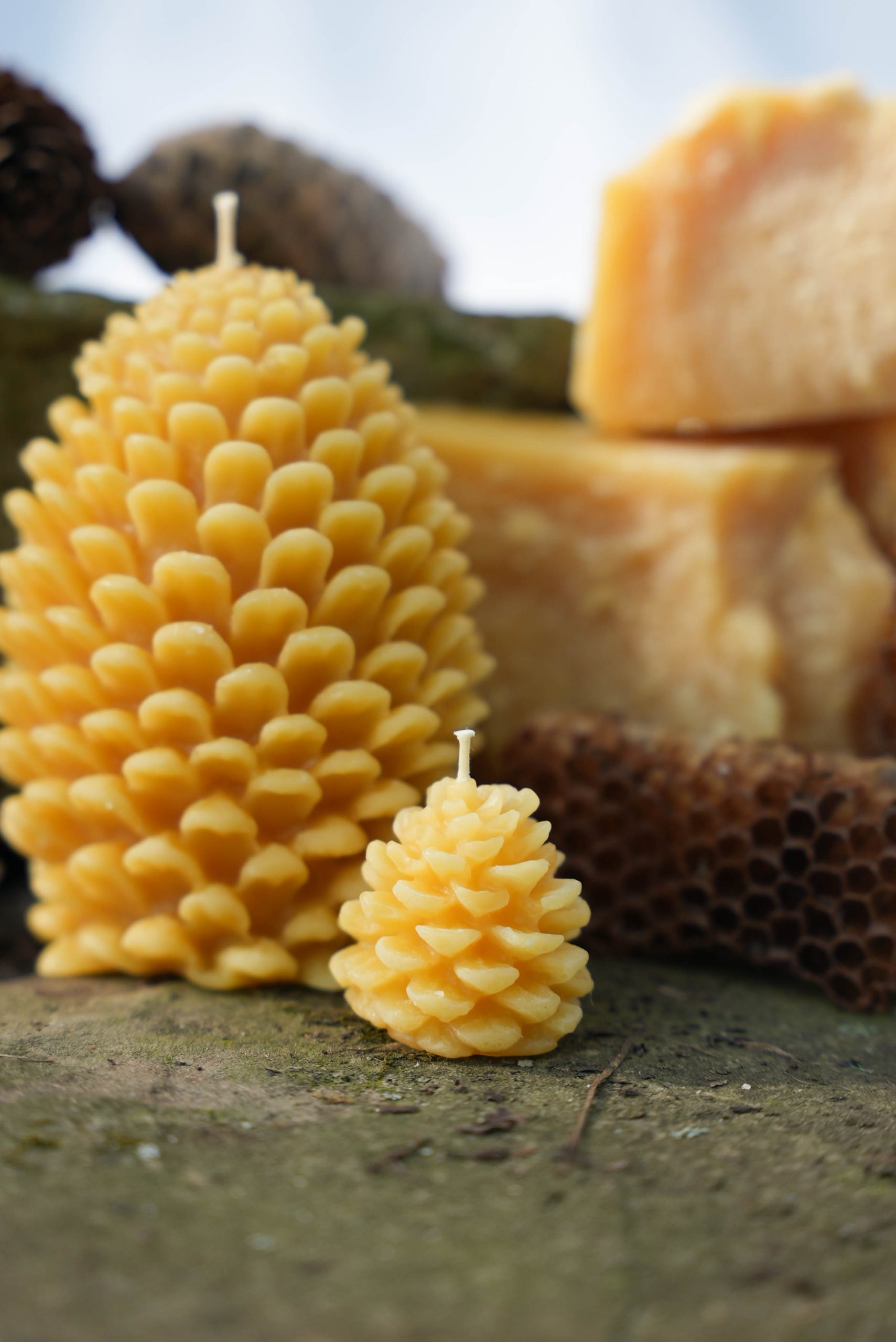 Seasonal Pinecone Candle - Image 3