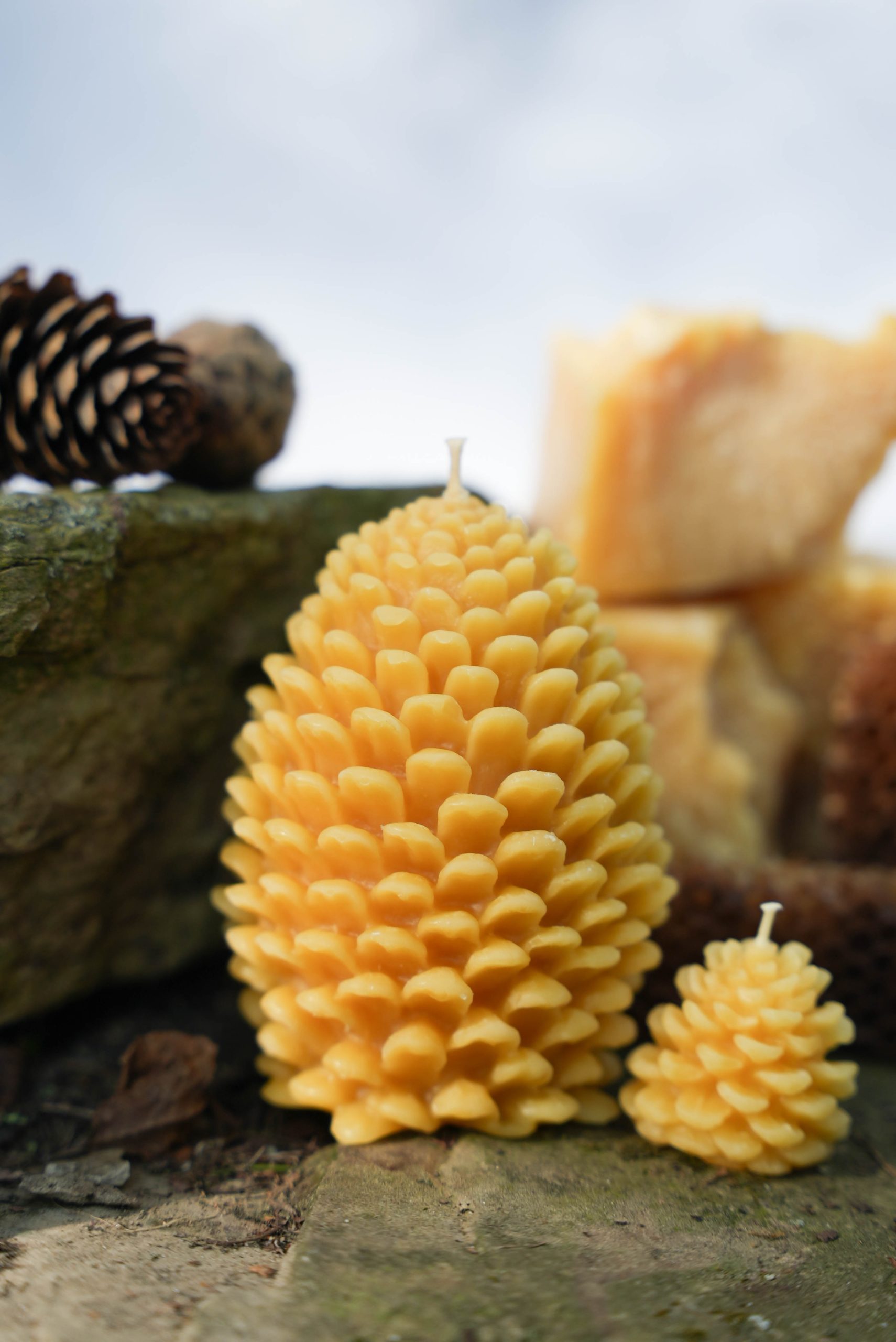 Seasonal Pinecone Candle - Image 4
