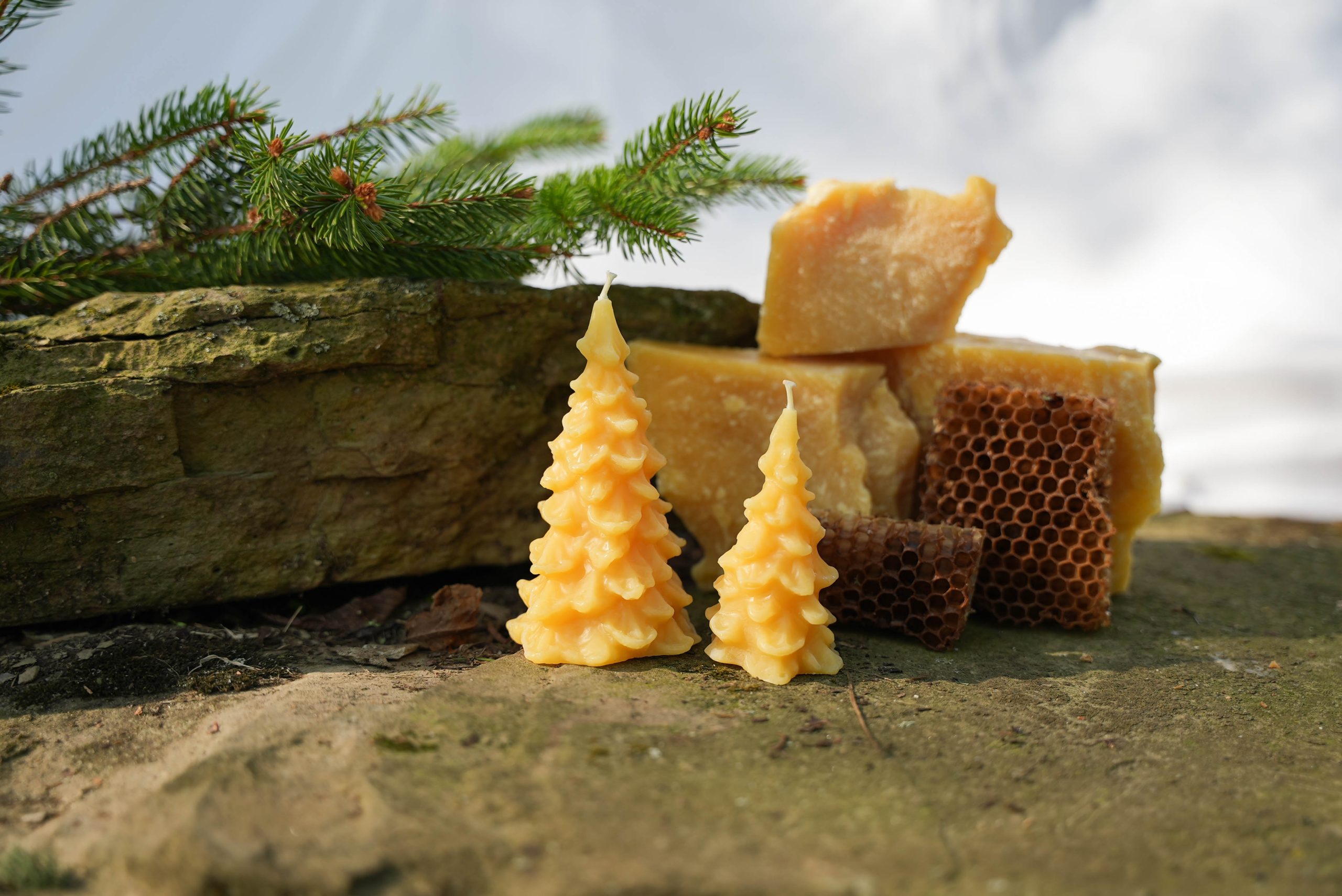 Seasonal Evergreen Candle - Image 2