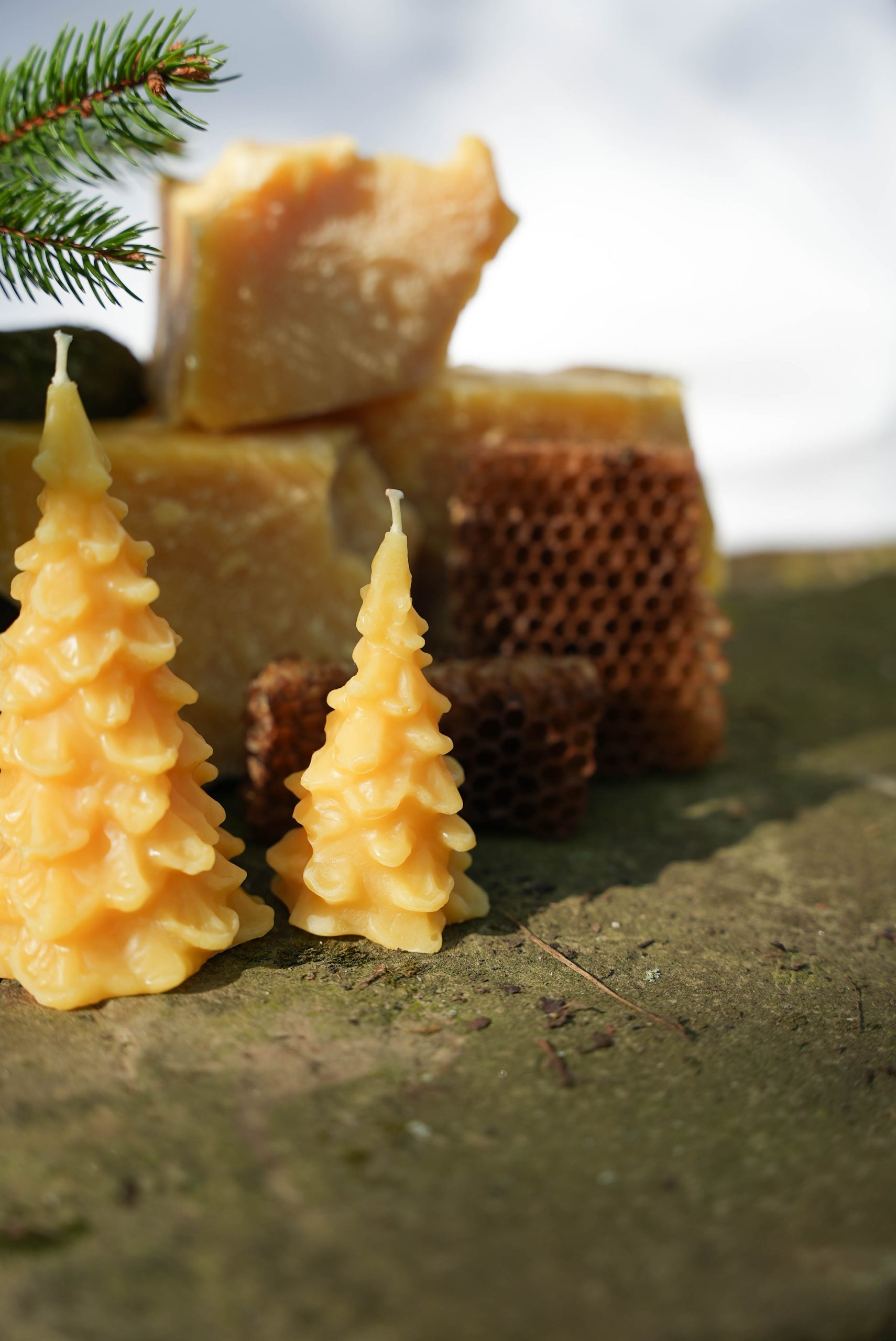 Seasonal Evergreen Candle - Image 4