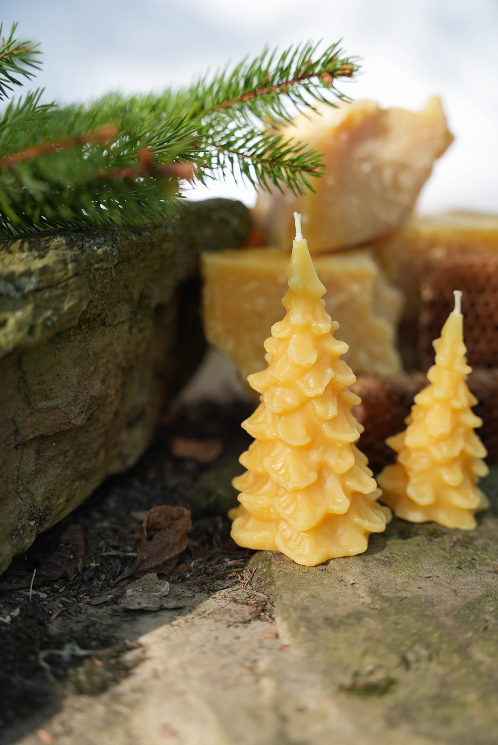 Seasonal Evergreen Candle - Image 3