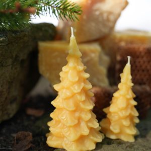 Seasonal Evergreen Candle