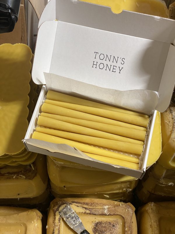 Bulk Beeswax 10" Taper Box - 24pk - Image 2