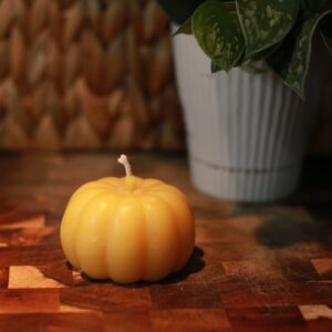 Seasonal Pumpkin Candle