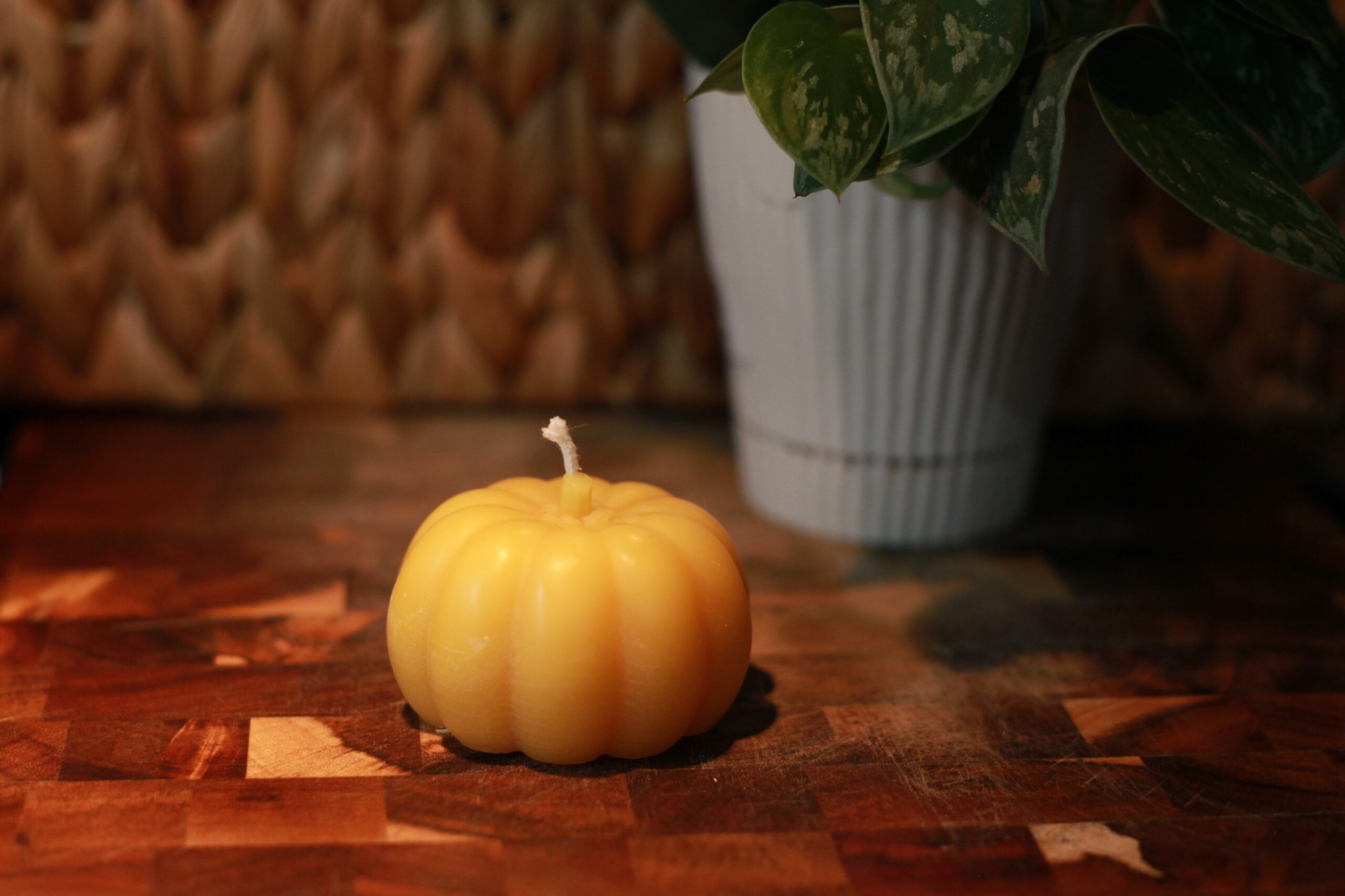 Seasonal Pumpkin Candle