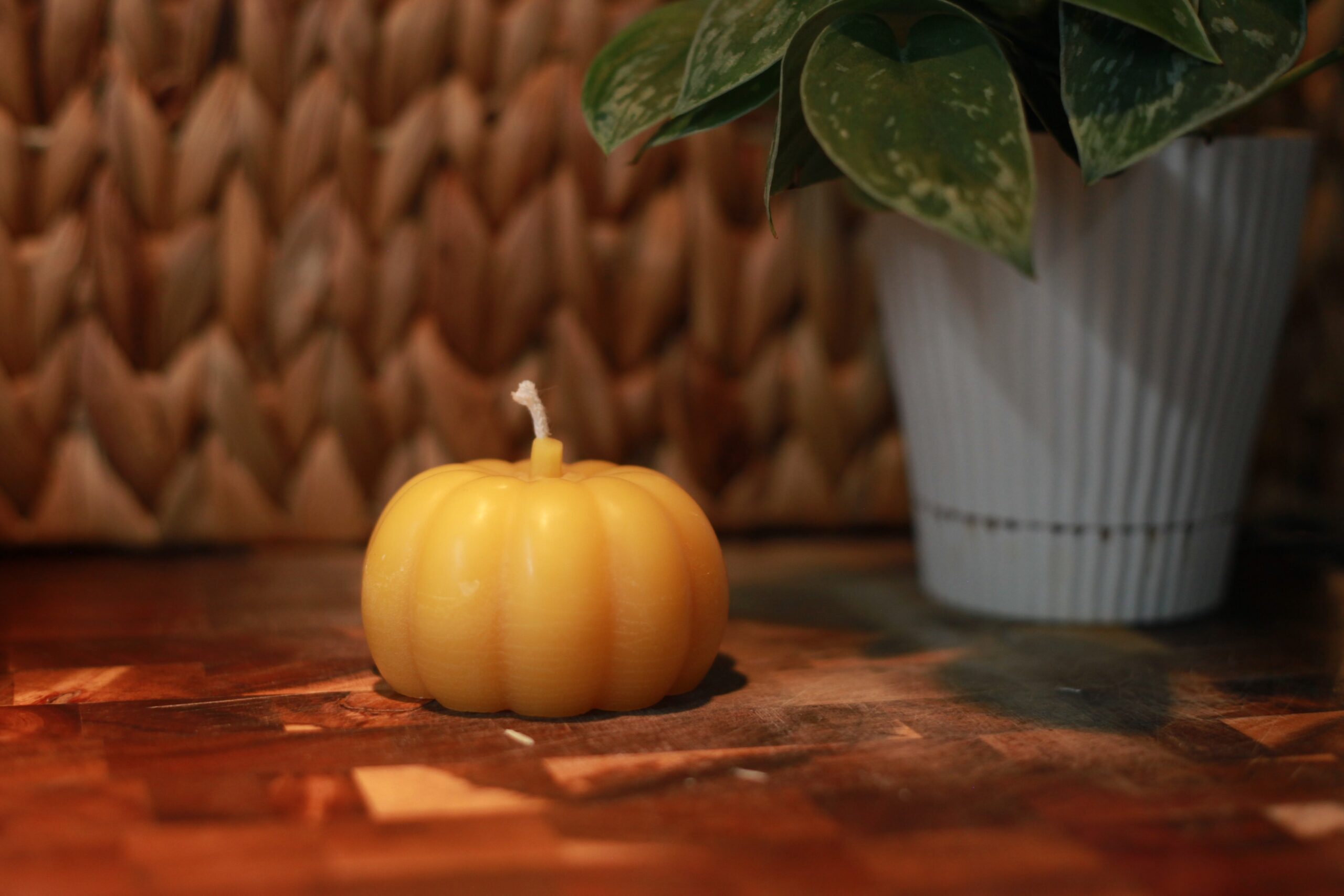 Small Pumpkin
